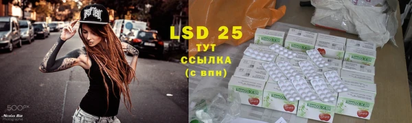 индика Алексин