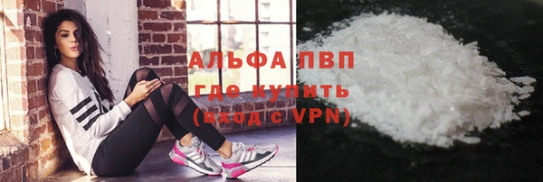 индика Алексин