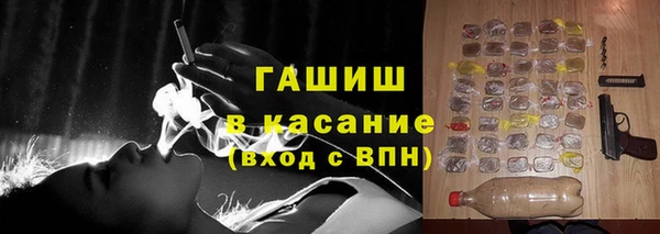 стаф Ельня
