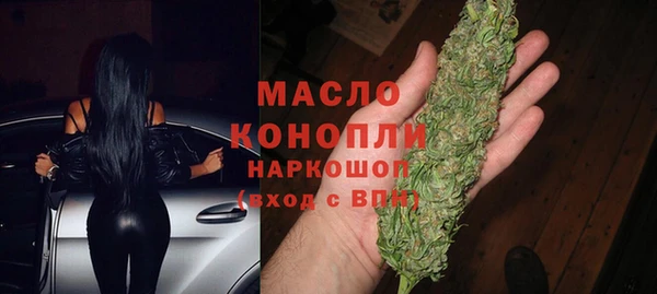 стаф Арсеньев