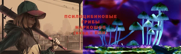 гашик Алексеевка