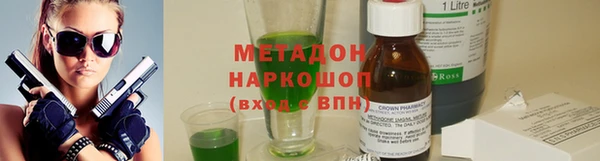 индика Алексин