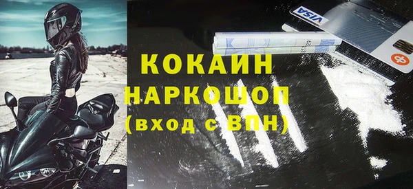 стаф Арсеньев