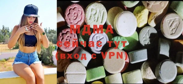 индика Алексин