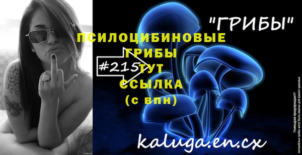 шишки Алзамай