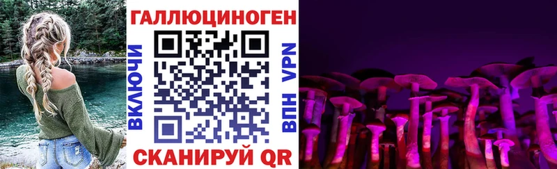 omg ссылка  Калязин  Галлюциногенные грибы Psilocybine cubensis 